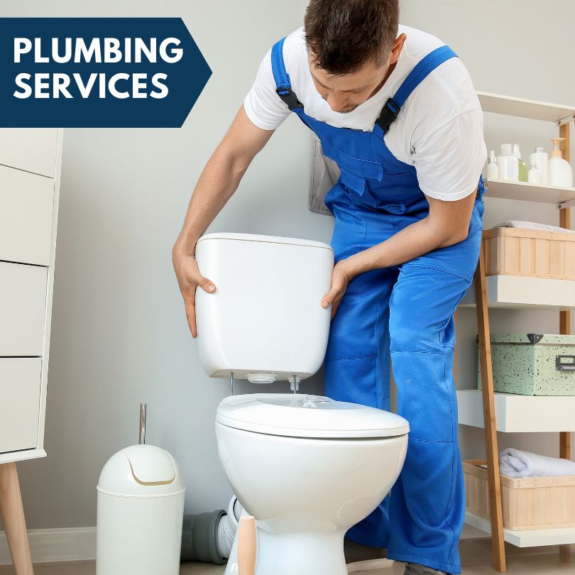 Plumbing Company in Williams, AZ